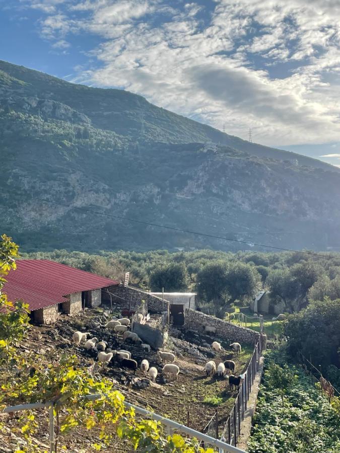Farmhouse Qëparo Exteriér fotografie